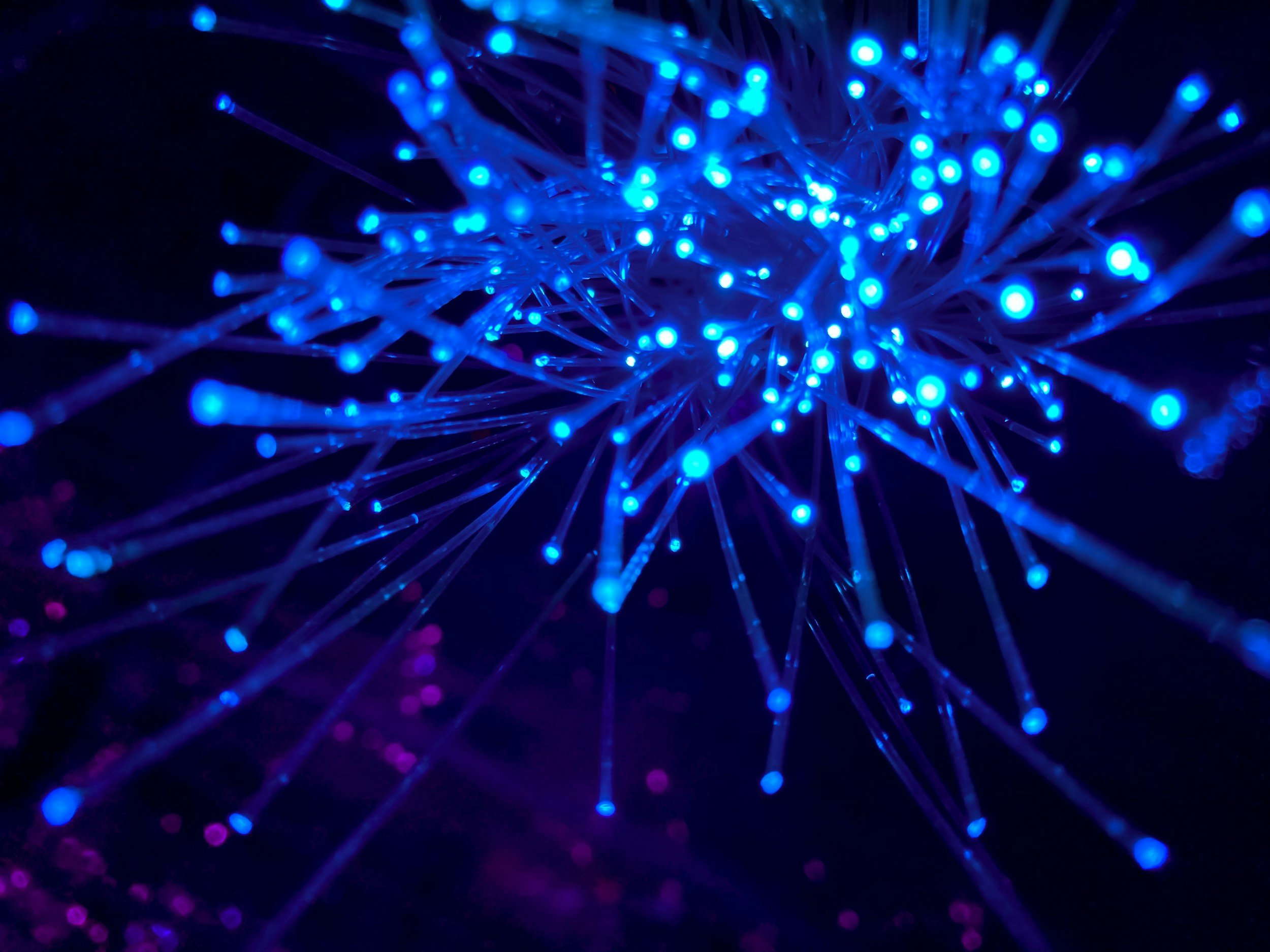 Ultra-High-Density Interconnect and Next-Gen Switching